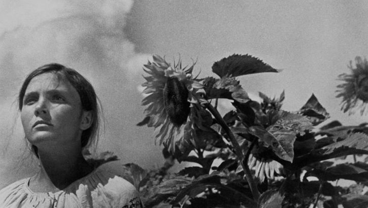 Film still from ZEMLIA: A young woman is standing next to a field of sunflowers.