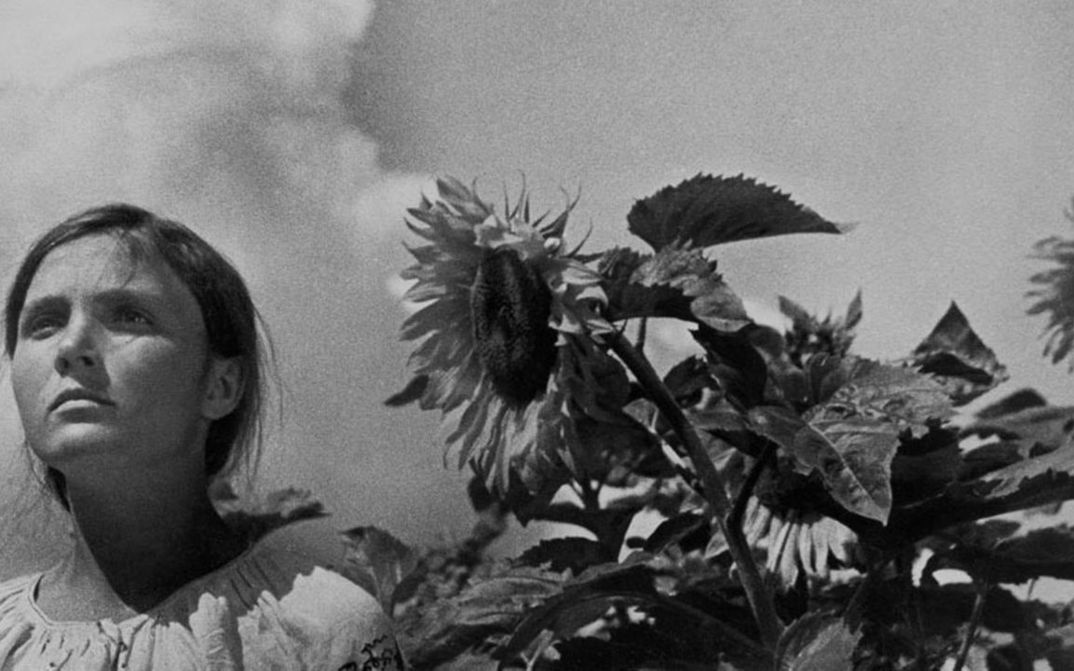 Film still from ZEMLIA: A young woman is standing next to a field of sunflowers.
