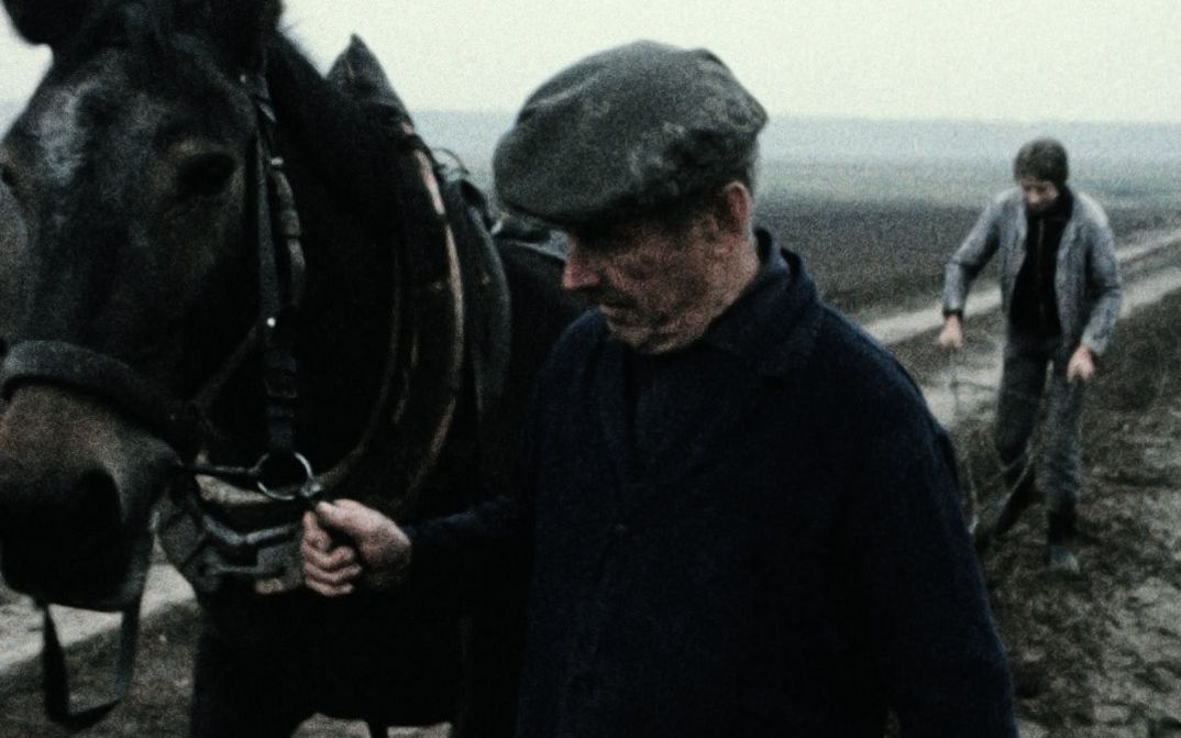 Still from the film "Ein Herbst im Ländchen Bärwalde" by Gautam Bora. A man with a dark jacket and cap leads a hore along a muddy field. Behind them, a person follows with a plough.