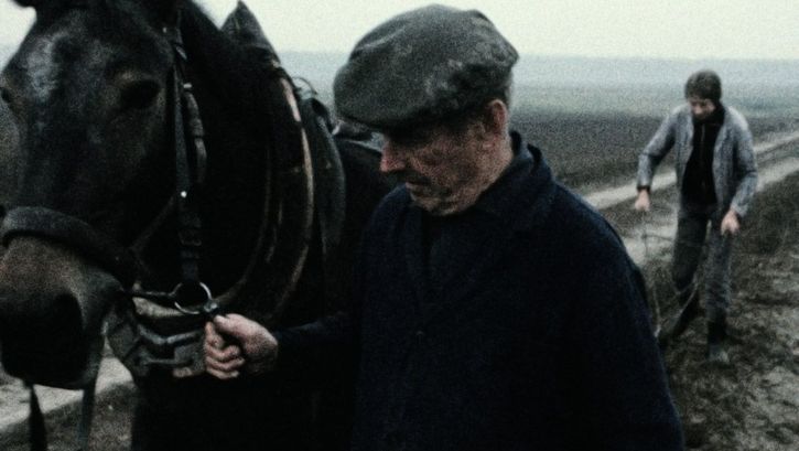 Still from the film "Ein Herbst im Ländchen Bärwalde" by Gautam Bora. A man with a dark jacket and cap leads a hore along a muddy field. Behind them, a person follows with a plough.