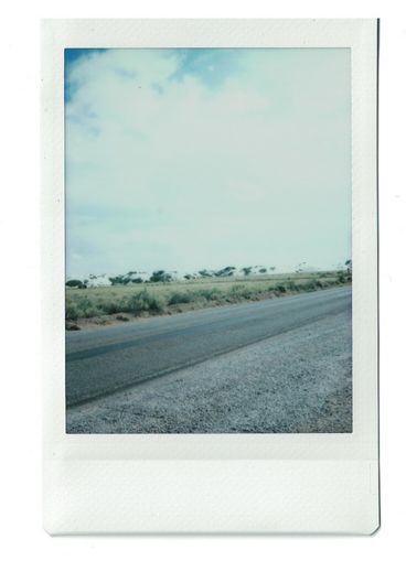 Polaroid einer leeren Landstraße mit Bäumen, Sträuchern und Himmel im Hintergrund.