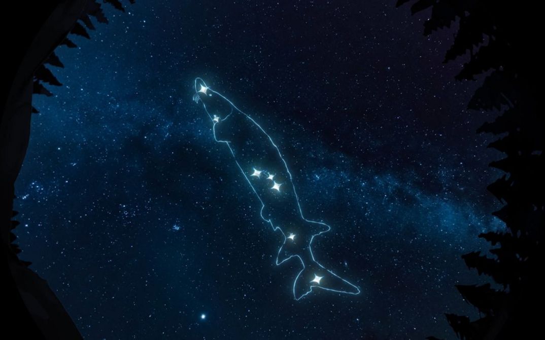 Film still from von Lisa Jackson and The Macronauts’s film “Wilfred Buck’s Star Stories”. An extended reality experience immerses us in a nocturnal spectacle where a fish-shaped constellation dances above the treetops, unfolding across a starlit sky.