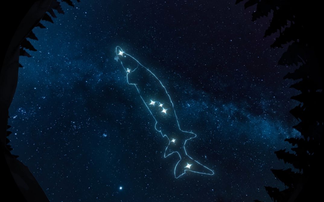 Filmstill aus dem Film „Wilfred Buck’s Star Stories“ von Lisa Jackson und The Macronauts. Ein Extended-Reality-Erlebnis taucht uns in ein nächtliches Schauspiel ein, bei dem eine fischförmige Konstellation über den Baumwipfeln tanzt und sich am Sternenhimmel entfaltet.