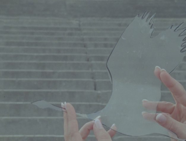 Film still from the film “Zwischenwelt” by Cana Bilir-Meier. The hands of a person hold a bird cut out of transparent paper into the camera. Steps can be seen in the background.