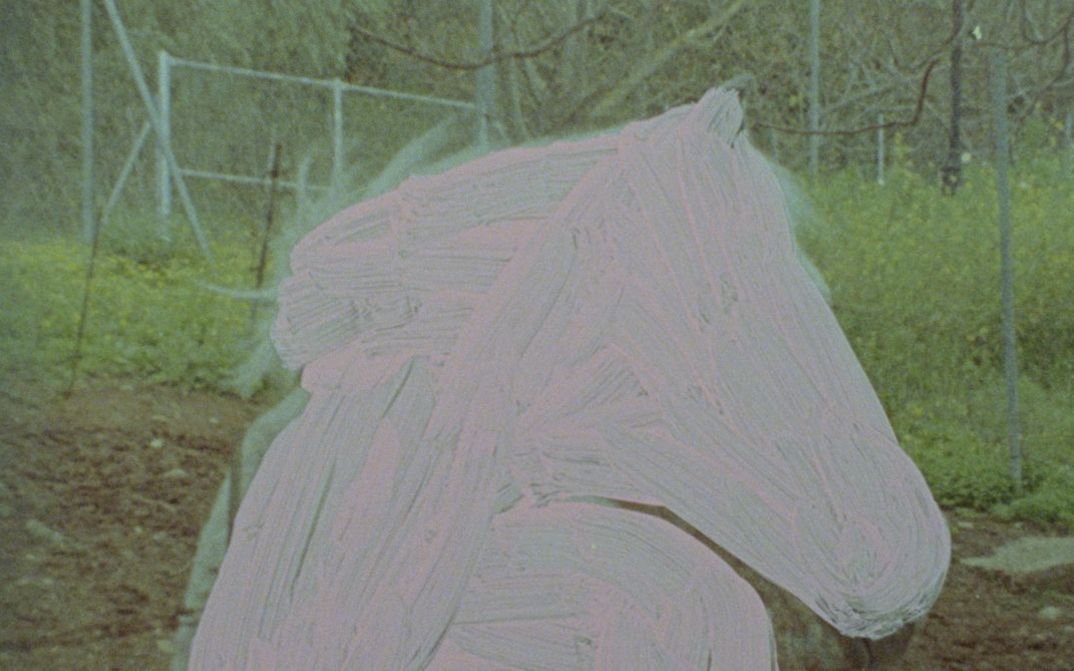 Filmstill aus dem Film „Portales“ von Elena Duque. Ein blassrosa Pferd, mit schnellen Strichen auf einen Filmstreifen gemalt, überlagert das Bild eines verwilderten Feldes.
