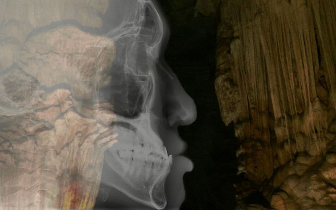 Film still from Chonchanok Thanatteepwong and Pobwarat Maprasob’s film “Mountain Roars”. A human profile revealed by MRI with its multiple anatomical layers (skeleton, tissues, skin) merges, in superimposition, with an underground cave. 
