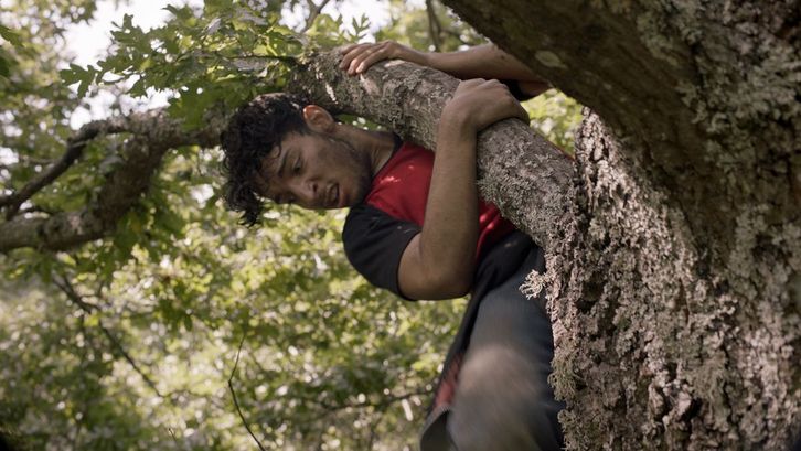 Film still from EUROPA. A young man climbs a tree.