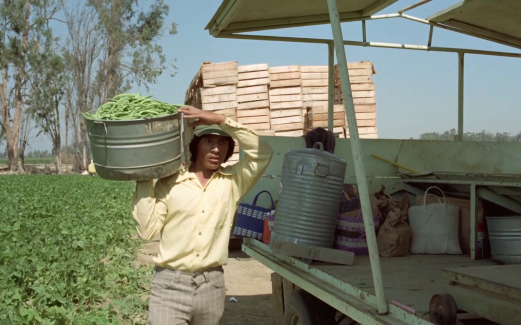 Filmstill aus LA CAUSA: Ein junger Landarbeiter steht neben einem Feld und einem Traktor und trägt einen Behälter mit geernteten Bohnen.