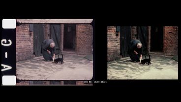 Two film frames positioned side-by-side. They are are indentical images, but with different colouring. Each shows a woman bending down in front of a brick house, pouring milk into a dish for two cats. The image on the left has a slight red tint.