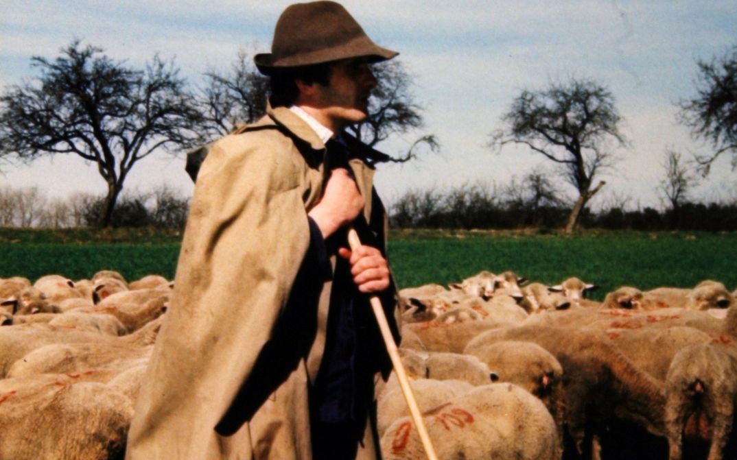 Film still from TRAUMLOS: A shepherd in the middle of a flock of sheep.