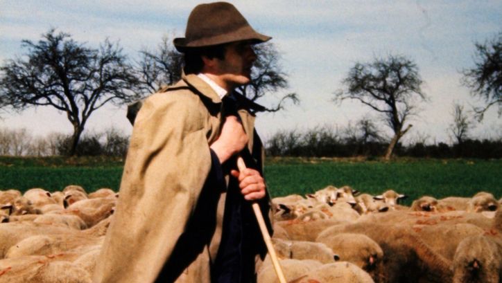 Filmstill aus TRAUMLOS: Ein Schäfer inmitten einer Herde Schafe.