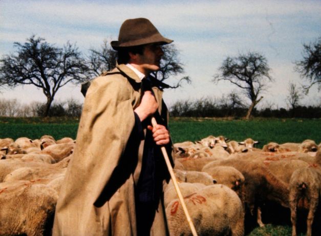 Filmstill aus TRAUMLOS: Ein Schäfer inmitten einer Herde Schafe.