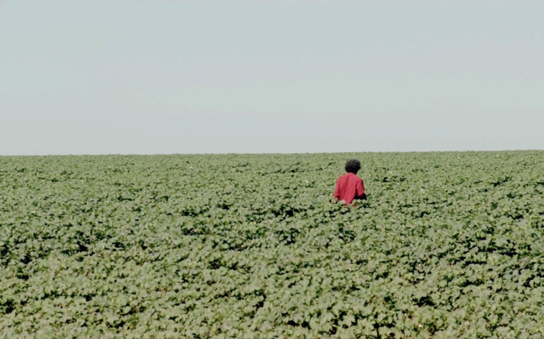 Filmstill aus dem Film "The Path Is Made by Walking" von Paula Gaitán. Man sieht eine Person in einem grünen Feld laufen.