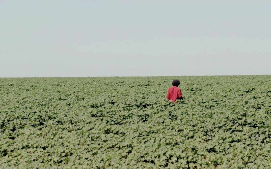 Still from the film "The Path Is Made by Walking" by Paula Gaitán. A person walks in a green field.