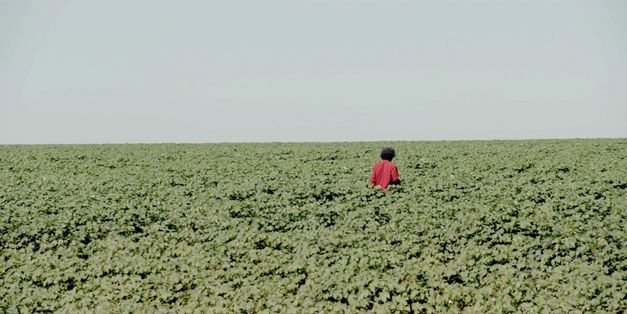 Still from the film "The Path Is Made by Walking" by Paula Gaitán. A person walks in a green field.