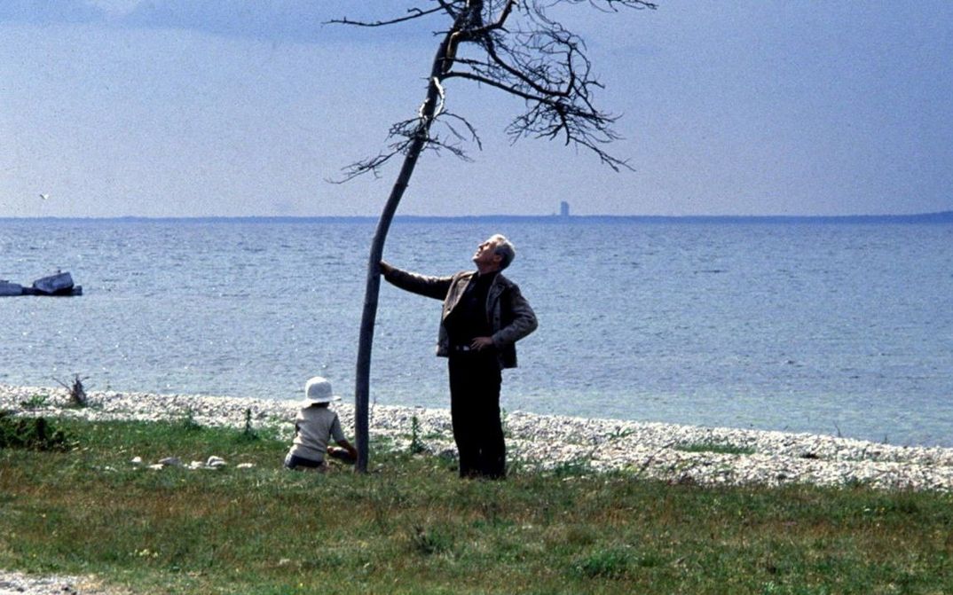 Film still from OFFRET:  man holds a small tree, behind him the sea.