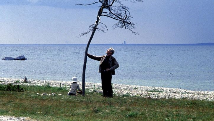 Film still from OFFRET:  man holds a small tree, behind him the sea.