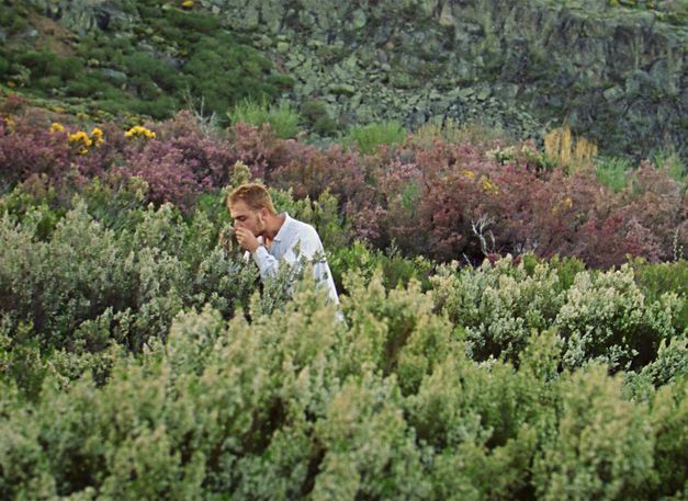 Filmstill aus „Afterwater“ von Dane Komljen. Ein Mann steht zwischen Heidesträuchern und riecht an einem Busch. 