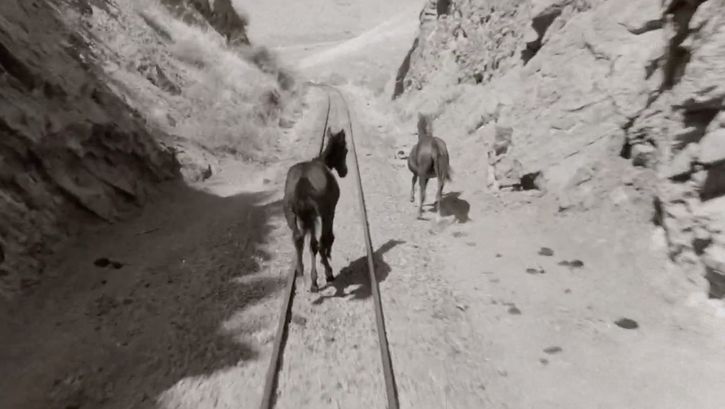 Film still from WHOSE VOICE IS THIS: Two horses run along railroad tracks in a rocky landscape.