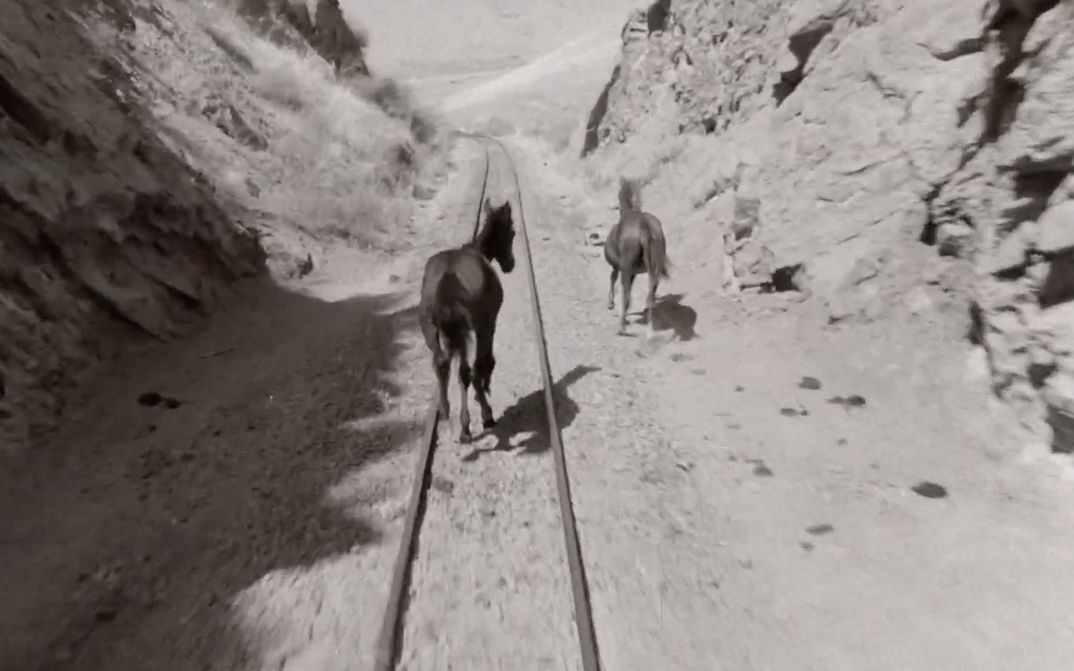 Film still from WHOSE VOICE IS THIS: Two horses run along railroad tracks in a rocky landscape.