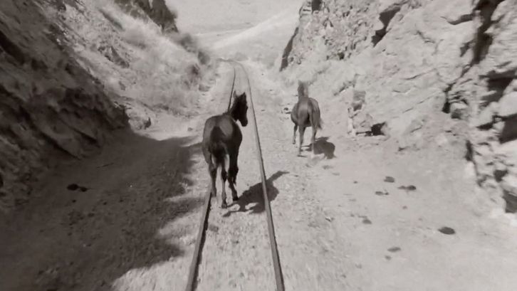Film still from WHOSE VOICE IS THIS: Two horses run along railroad tracks in a rocky landscape.