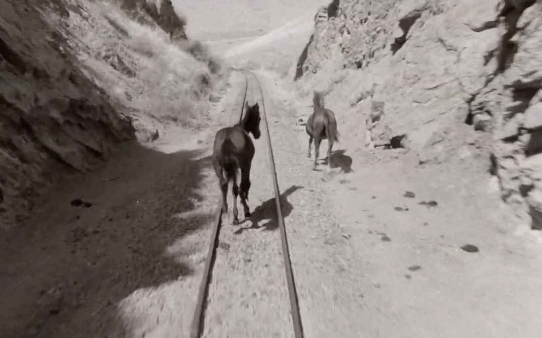 Filmstill aus WHOSE VOICE IS THIS: Zwei Pferde laufen in einer felsigen Landschaftn entlang von Eisenbahnschienen.