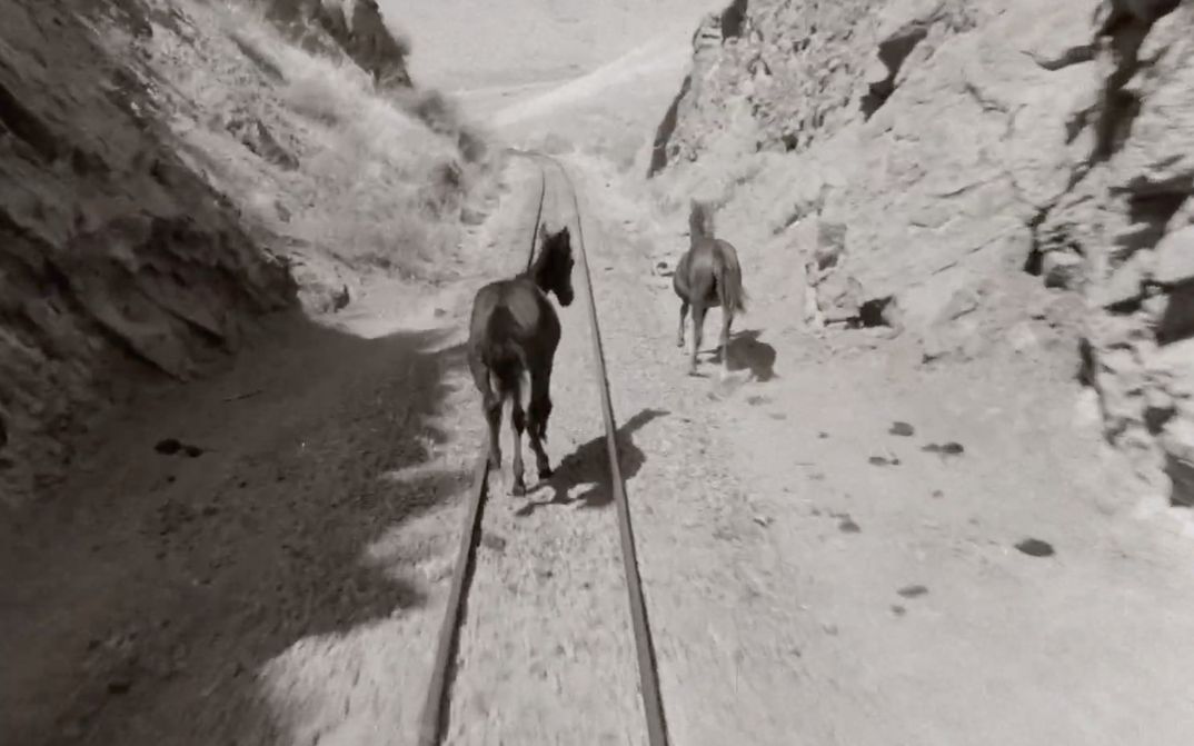 Film still from WHOSE VOICE IS THIS: Two horses run along railroad tracks in a rocky landscape.