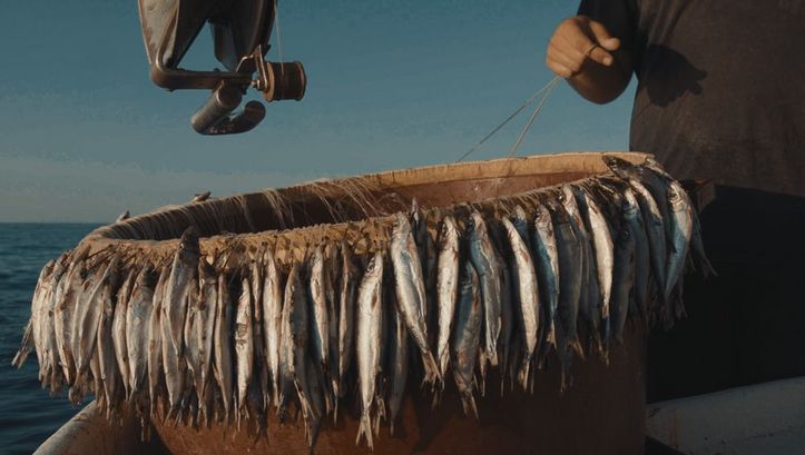 Filmstill Female Artists Program