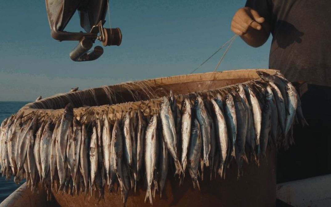 Filmstill Künstlerinnenprogramm