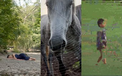 Eine Collage zeigt Stills aus drei Filmen: Links ist ein Still aus CONCRETE VALLEY von Antoine Bourges, darauf ist eine Frau in einem blauen Kleid zu sehen, die am waldumsäumten Ufer eines Flusses auf einem Handtuch liegt. In der Mitte ist ein Still aus HORSE OPERA von Moyra Davey, das Bild zeigt eine Großaufnahme vom Kopf eines Schimmels hinter einem Spinnennetz. Rechts in der Collage ist ein Still aus POZNÁMKY Z EREMOCÉNU (NOTES FROM EREMOCENE) von Viera Čákanyová, das Bild zeigt eine grünlich schimmernde, stark verpixelnde Aufnahme von einem gehenden Kind.