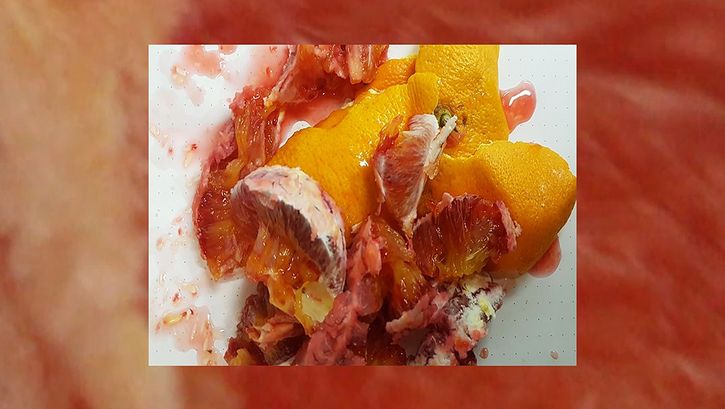 Still from the film "MU/T/T/ER" by Esther Kondo Heller. A chopped up blood orange.