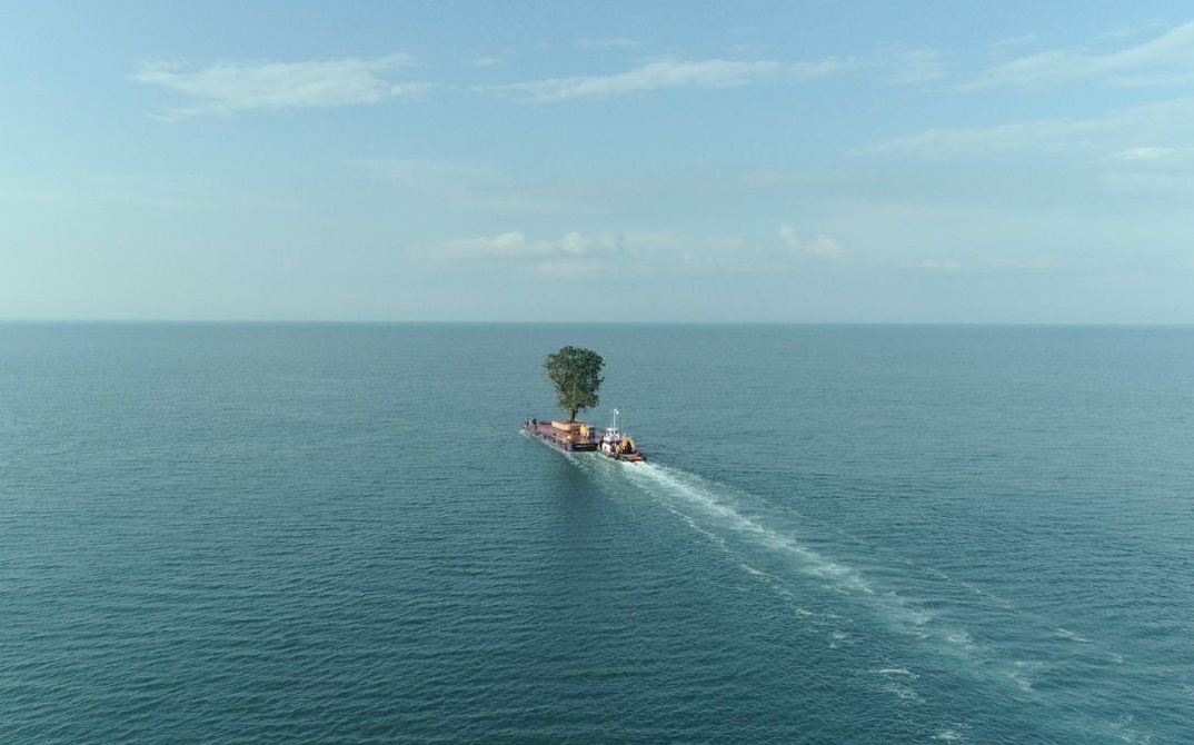 Still TAMING THE GARDEN