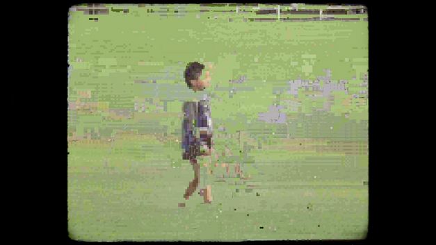 A child on a meadow. The image looks like a negative copy of an analogue film image with visible image distortions.