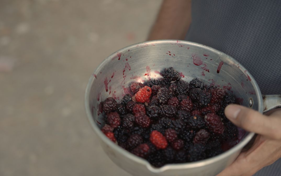Film Still aus dem Film „Fruits of Despair“ von Nima Nassaj. Jemand hält eine Schüssel mit frisch gepflückten Brombeeren in der Hand.