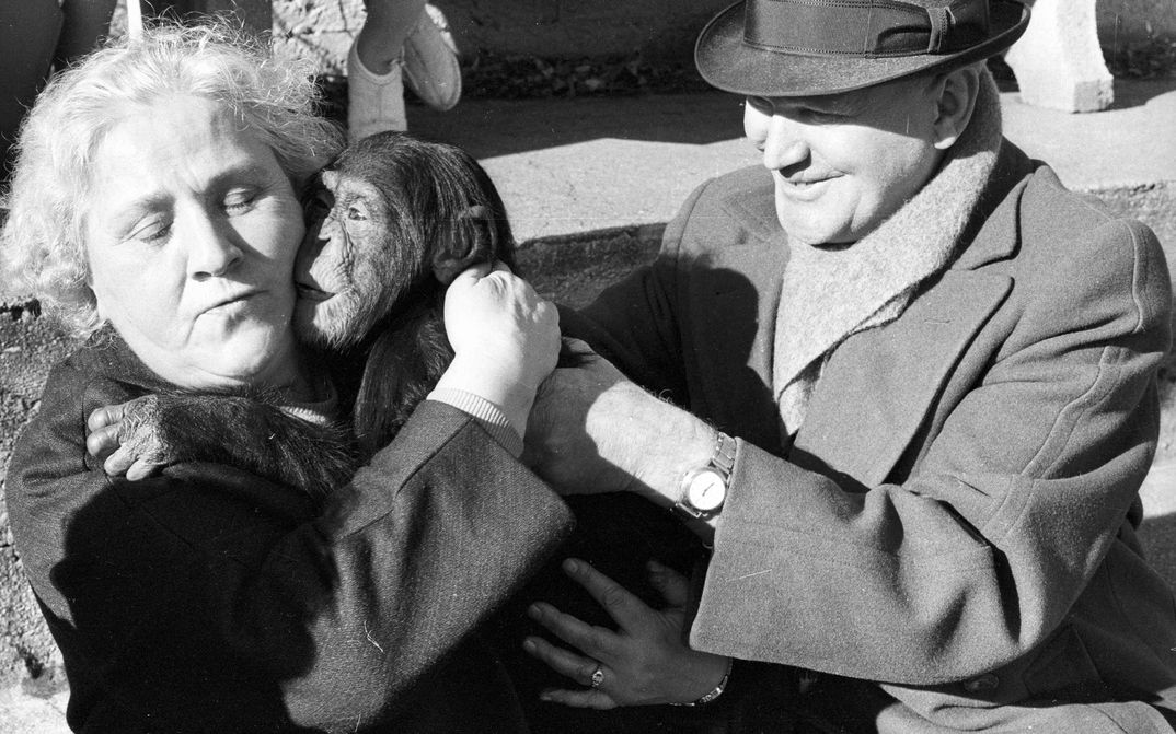 Filmstill aus LAND DES SCHWEIGENS UND DER DUNKELHEIT: Ein Mann hält einen Affen nah an das Gesicht einer älteren Frau. Sie hält den Affen fest.