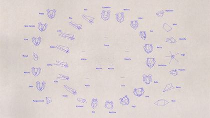 Ein Kompedium verschiedener Gesichtserkennungs-“Scans” von verschiedenen Tieren, neben ihren Namen. 