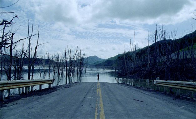 Film still from UNDERGROUND by Kaori Oda. It shows the end of a road that merges into the water. To the left and right are dead trees. In the center of the picture is a person standing in the water. 
