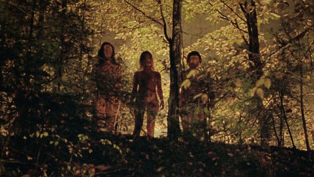 Filmstill aus „Mammalia“ von Sebastian Mihăilescu. Drei Personen stehen im Dunkeln auf einem Hügel im Wald.
