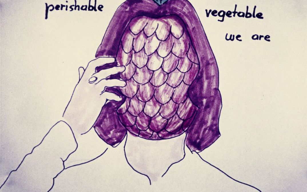 Filmstill aus "Selfportrait" von Maria Lassnig. Zu sehen ist eine Zeichnung mit dem Porträt einer Person, die eine Ananas als Gesicht hat.