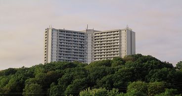 Filmstill from „Concrete Valley" by Antoine Bourges. A gray building protrudes from a forest.