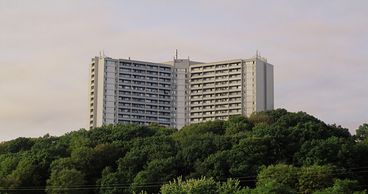 Filmstill aus „Concrete Valley" von Antoine Bourges. Ein graues Gebäude ragt aus einem Wald heraus.