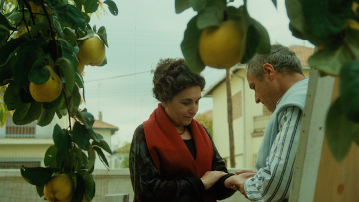Film still from EL SOL DE MEMBRILLO: In the foreground you can see the branches of a quince tree with ripe quinces. In the background, a man and a woman are standing in front of an easel.