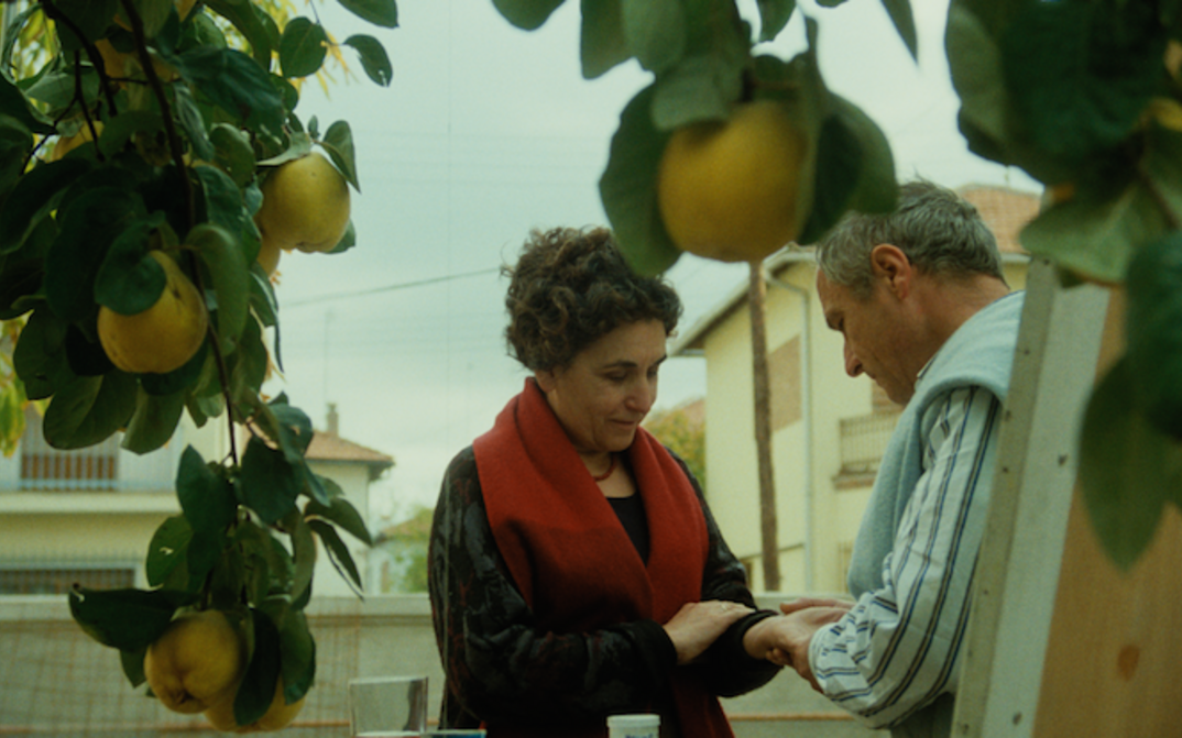 Filmstill aus EL SOL DE MEMBRILLO:Im Vordergrund sind die Zweige eines Quittenbaums mit reifen Quitten zu sehen. Im Hintergrund stehen ein Mann und eine Frau vor einer Staffelei. 