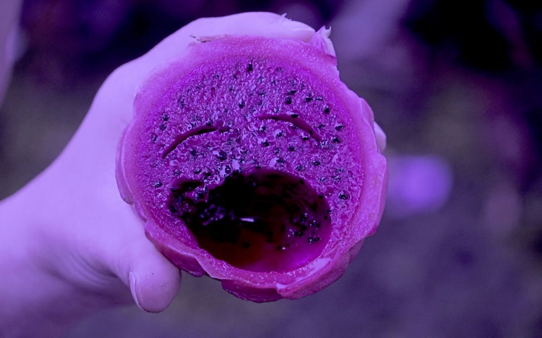Filmstill aus „Super Natural“. Eine Hand hält eine Drachenfrucht in die Kamera. Die Frucht ist aufgeschnitten. Mit einem Löffel sind Teile der Frucht herausgenommen worden, sodass es aussieht, als hätte sie ein Gesicht mit zwei geschlossenen Augen und einem weit geöffnetem Mund.