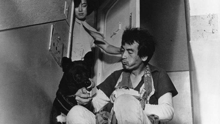 A man is sitting next to a dog on a landing. A woman looks on from the open front door.Film still from SHE AND HE: 