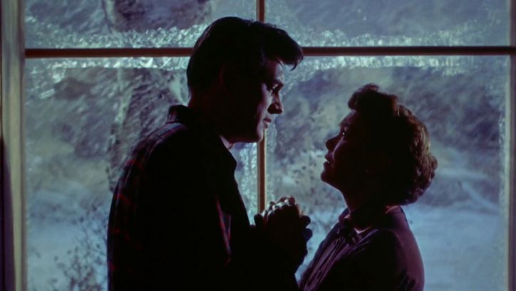 Filmstill from ALL THAT HEAVEN ALLOWS: A man and a woman hold hands. They are facing each other. It looks dramatic.