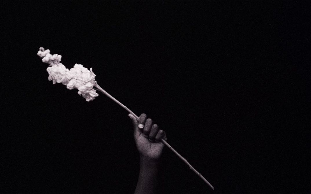 Film still from Simone Leigh and Madeleine Hunt-Ehrlich’s „Conspiracy“. A hand holding a flower in the center of a black background.