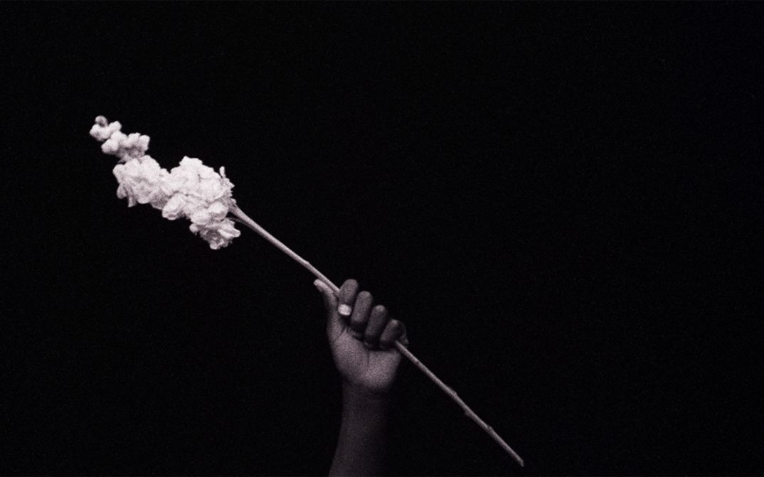 Filmstill aus dem Film „Conspiracy“ von Simone Leigh, Madeleine Hunt-Ehrlich. Eine Hand hält eine Blume an einem langen Stiel vor einem leeren Hintergrund.