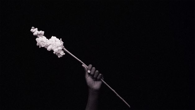 Film still from Simone Leigh and Madeleine Hunt-Ehrlich’s „Conspiracy“. A hand holding a flower in the center of a black background.