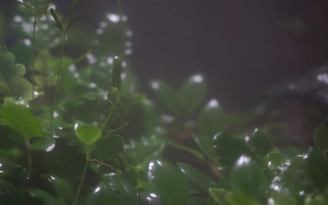 Filmstill Künstlerinnenprogramm
